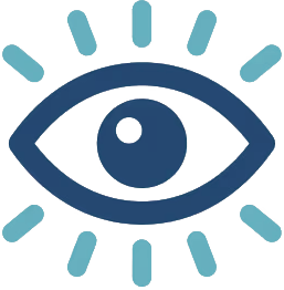 Vision 2